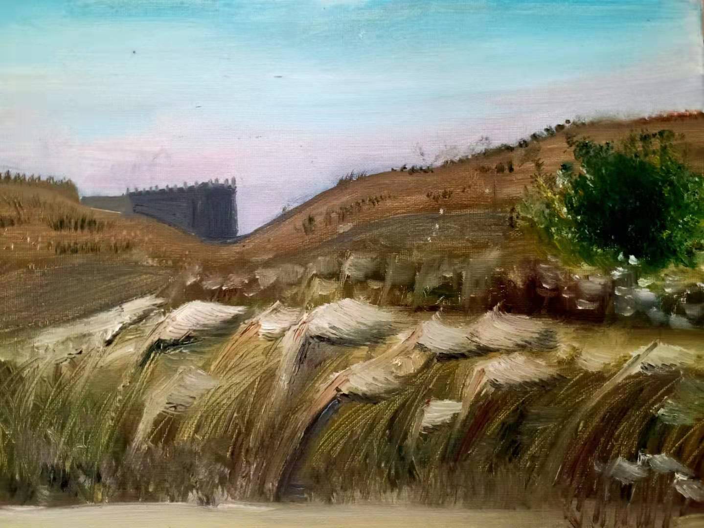陈佳瑶作品