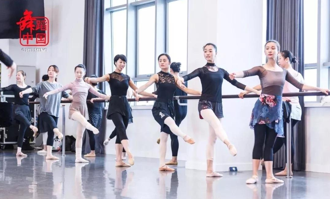 杨丽老师学习中